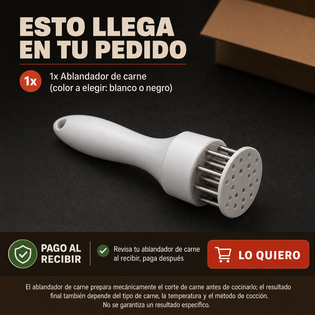 Ablandador de Carne con Agujas de Acero Inoxidable — 19.5cm